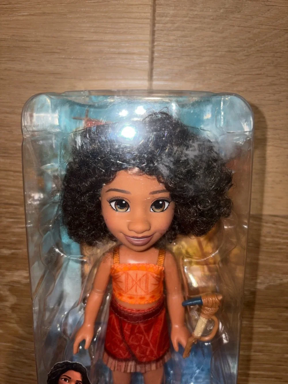Disney MOANA 2  6